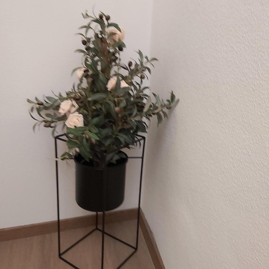 Kleine Altstadt Oase Apartment แบร์นคาสเทล-คืสท์ ภายนอก รูปภาพ