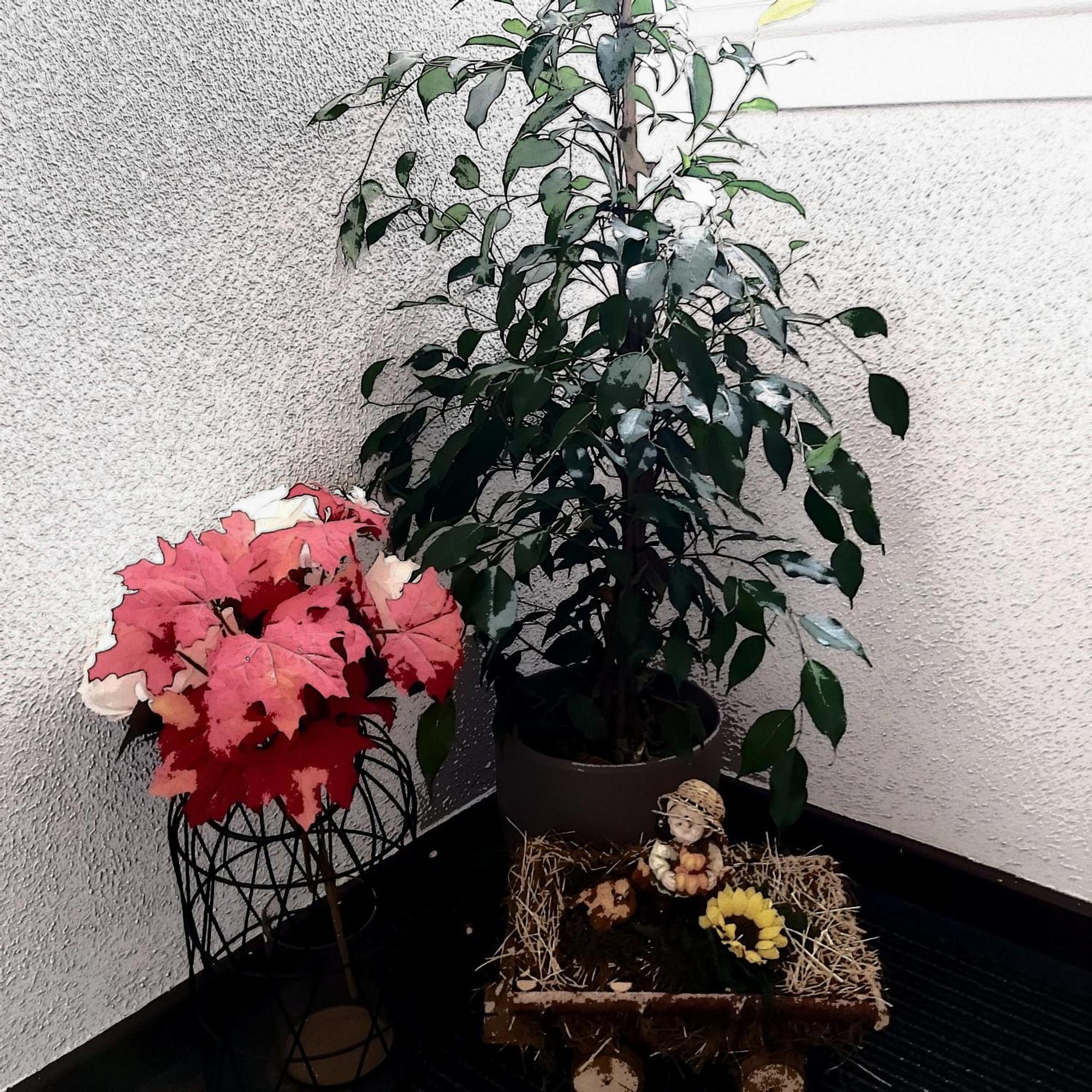 Kleine Altstadt Oase Apartment แบร์นคาสเทล-คืสท์ ภายนอก รูปภาพ