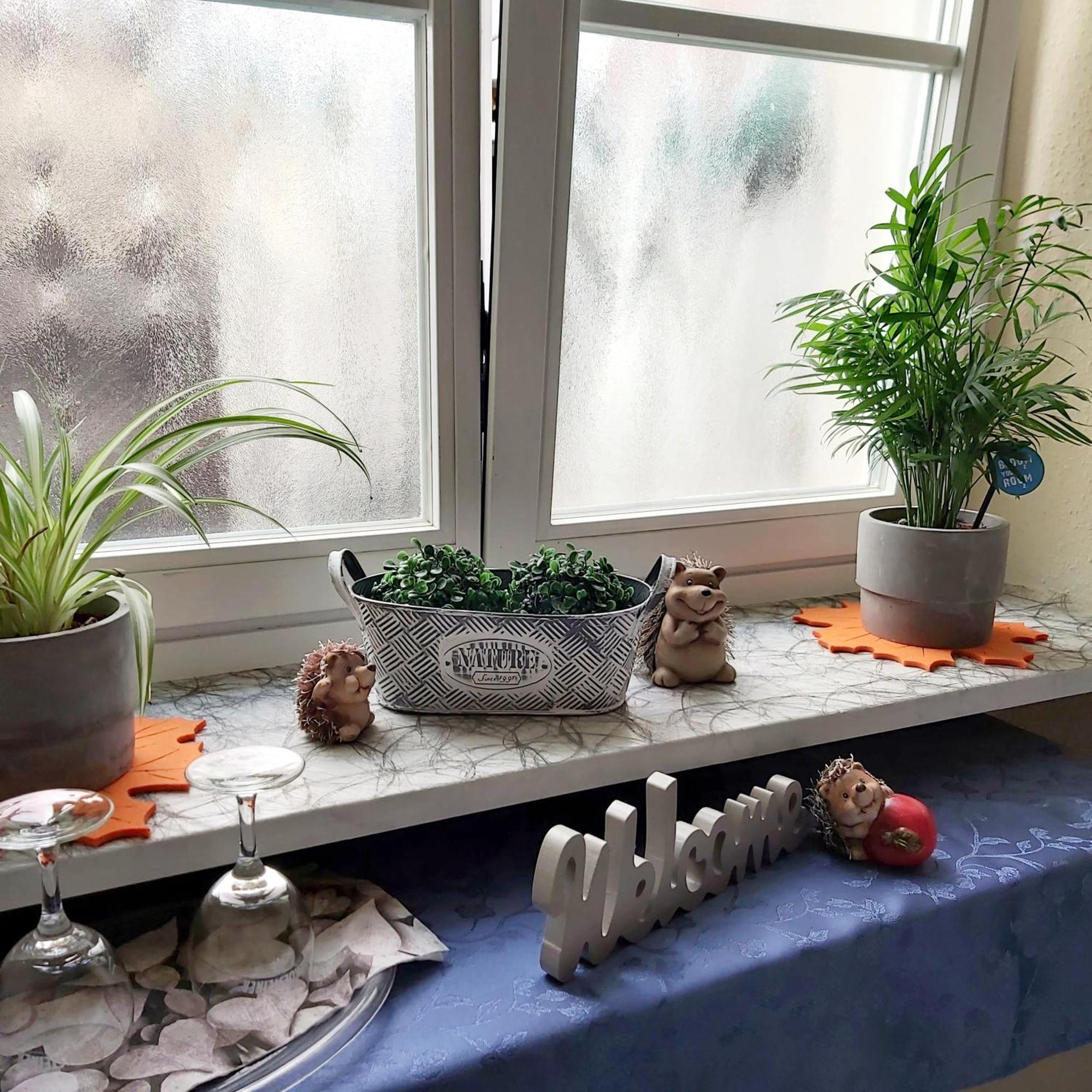 Kleine Altstadt Oase Apartment แบร์นคาสเทล-คืสท์ ภายนอก รูปภาพ