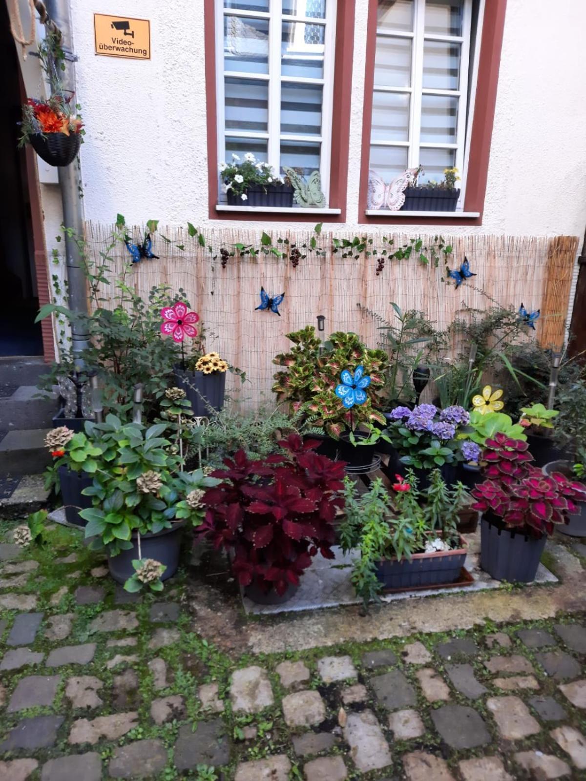 Kleine Altstadt Oase Apartment แบร์นคาสเทล-คืสท์ ภายนอก รูปภาพ